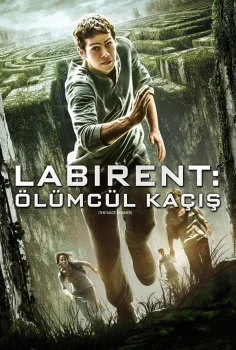Labirent 1