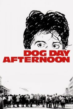 Dog Day Afternoon – Köpeklerin Günü
