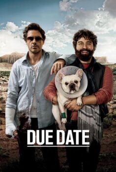 Due Date – Git Başımdan